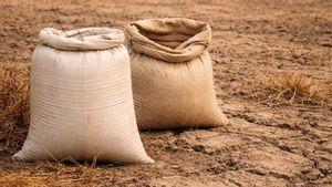 Perang di Timur Tengah Mulai Guncang Ketahanan Pangan Afrika