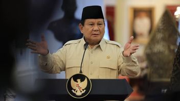 Prabowo Gelar Ratas Percepatan Hilirisasi, Lapangan Kerja dan Pemerataan Ekonomi Jadi Fokus Utama