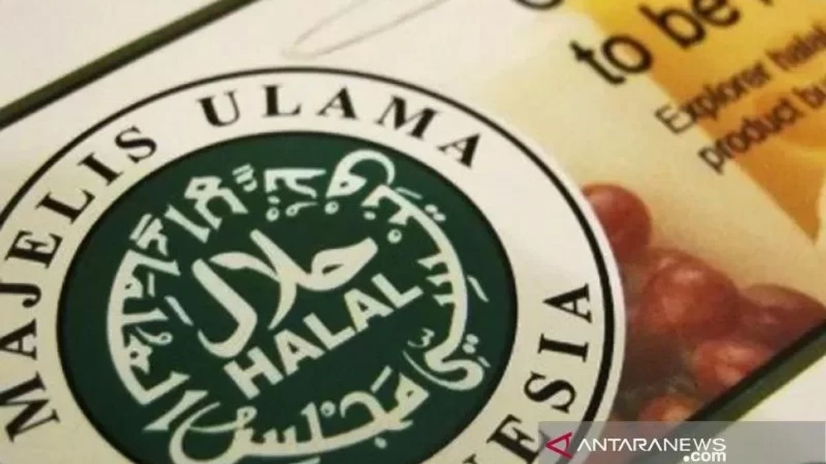Legitimate! Starting 2024 Food And Beverage Industry Products Must Be Halal Certified