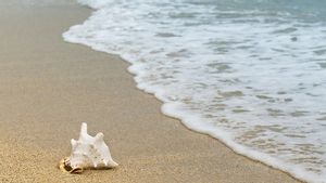 Manfaat Positif Liburan ke Pantai bagi Kesehatan Fisik dan Mental