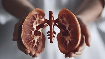 How To Clean Your Kidney In 3 Days, Dare To Do It?