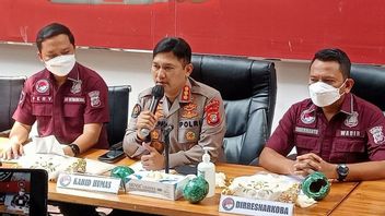 Polisi Belum Tetapkan Jeff Smith sebagai Tersangka Penyalahgunaan Narkoba 