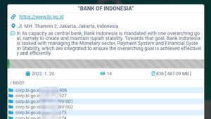 Diserang Kelompok Ransomware Paling Ganas, Bank Indonesia Berhasil Pulih