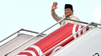 クリシュアル訪問、プーチンと会談し、石油供給を議論するためにプーチンと会談するプーチンを飛行するプラボウォ