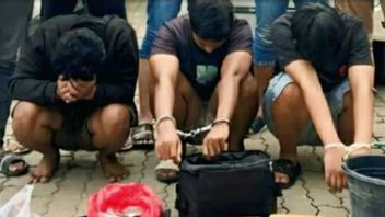 Karawang Police Arrest 3 Marijuana Dealers, Seize 3.5 Kg Of Evidence