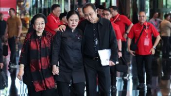 Pdip政治家称Puan和Prananda的热情拥抱自然:坚实不仅仅是一个口号