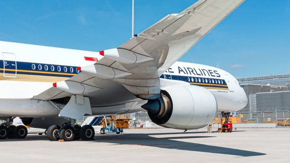 Singapore Airlines Turbulence Plane Until British Man Dies, 7 People Seriously Injured