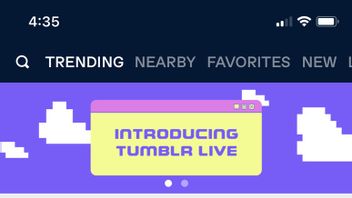 Tumblr Pasting Livestreaming Livebox Features, Still Limited In The US