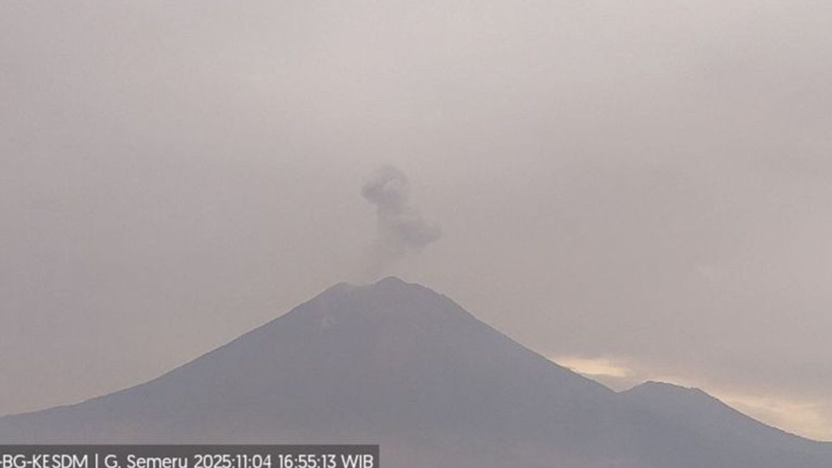    Gunung Semeru Tiga Kali Erupsi, Tinggi Letusan Capai 800 Meter