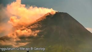 Berita Gunung Merapi: Awan Panas Guguran Meluncur Sejauh 1,5 km