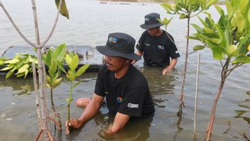 世界環境デーを記念して、BRIはBRI植林・成長・グリーンを通じて環境エコシステムを維持するというコミットメントを確認する