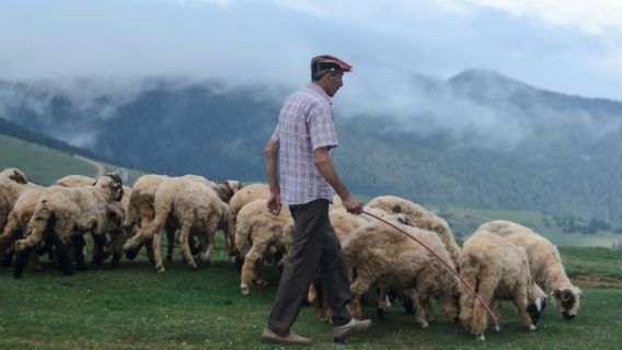 モンゴルは地球温暖化の深刻な影響を受けており、動物は午後32°C未満を広げています