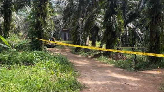 Indonesian Migrant Workers Shot Killed In Malaysian Palm Oil Plantation, Indonesian Consulate General Kuching Intervenes