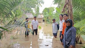 Hujan Deras Semalam, Puluhan Rumah dan 80 Hektare Sawah Terendam di OKU Timur