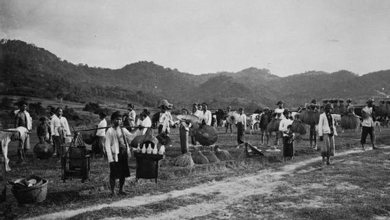 历史上受经济衰退影响的整个荷属东印度群岛 今天，1935 年 2 月 11 日