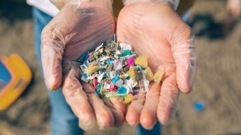 UNAIR 研究人员在羊水和尿液中发现了微塑料，这对健康构成风险