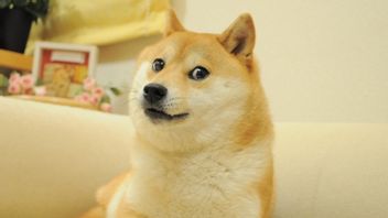 IDR 568億で販売された暗号通貨ドグコインの柴犬シンボルの写真