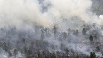 6，800名警戒人员，以防止廖内森林火灾