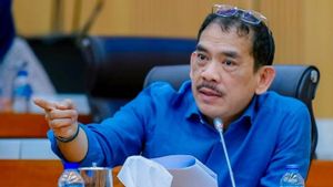 Anggota DPR RI sebut kredit berbasis aset kreatif memperkuat ekosistem ekonomi