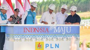 Hadirkan Energi Bersih, Presiden Jokowi Groundbreaking Pembangunan PLTS PLN 50 MW di IKN Nusantara