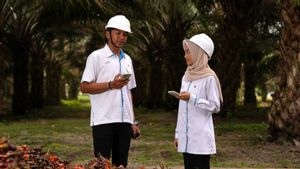 Maknai May Day, PTPN IV PalmCo Make K3 Culture as the Main Pillar of Worker Safety
