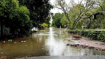 It Was Raining Non-stop, The Outskirts Of Sydnet Were Flooded, Tens Of Thousands Of Residents Evacuated