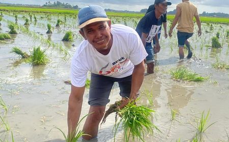 Pangkas 145 Regulasi, Penyaluran Pupuk Subsidi Langsung ke Petani Dinilai Percepat Kesejahteraan