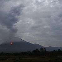 Hujan Abu Vulkanik Semeru Terdampak ke Probolinggo Hingga Lumajang 