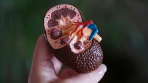 Terengganu Men's Organ, Malaysia Save 3 Lives, His Wife: Alhamdulillah