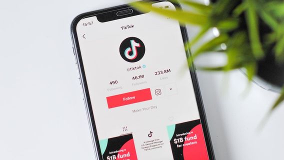 TikTok Luncurkan <i>Branded Effects</i>, untuk Tingkatkan Visibilitas Suatu <i>Brand</i>