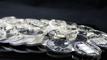 初学者白银投资：利润、风险和小额投资的提示