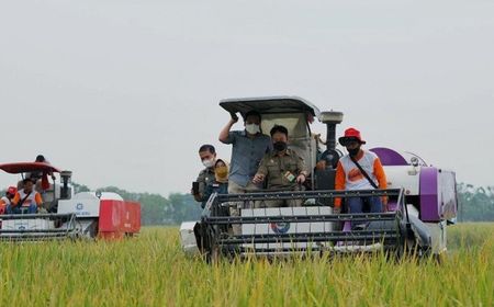 Petani Jombang Bisa Tersenyum, Pemerintah Bakal Serap 25 Ribu Ton Gabah