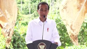 Groundbreaking BTN Office In IKN, Jokowi: Complementing The Presence Of Previous BUMN Banks