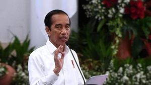 Pihak Istana Sebut Narasi Pemakzulan Jokowi untuk Kepentingan Politik Elektoral