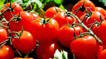 フランケンフード、遺伝子がまもなく編集された果物や植物からの食品は、英国のスーパーマーケットで販売される