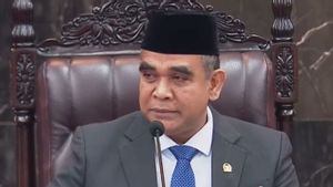 Muzani: Pemerintah Serius Wujudkan Pemerataan Ekonomi lewat MBG hingga Sekolah Rakyat
