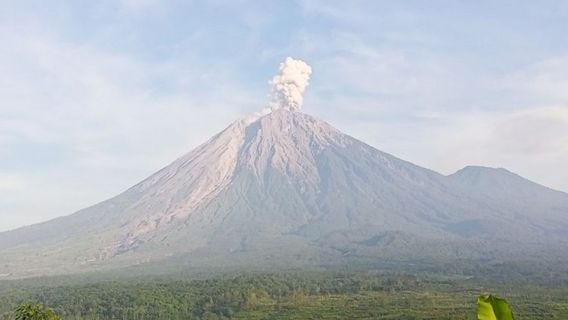 Gunung Semeru 3 Kali Erupsi, Muntahkan Kolom Abu 800 Meter