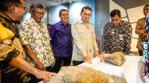 Museum Semedo Resmi Dibuka, Fadli Zon Tekankan Pentingnya Temuan Homo Erectus