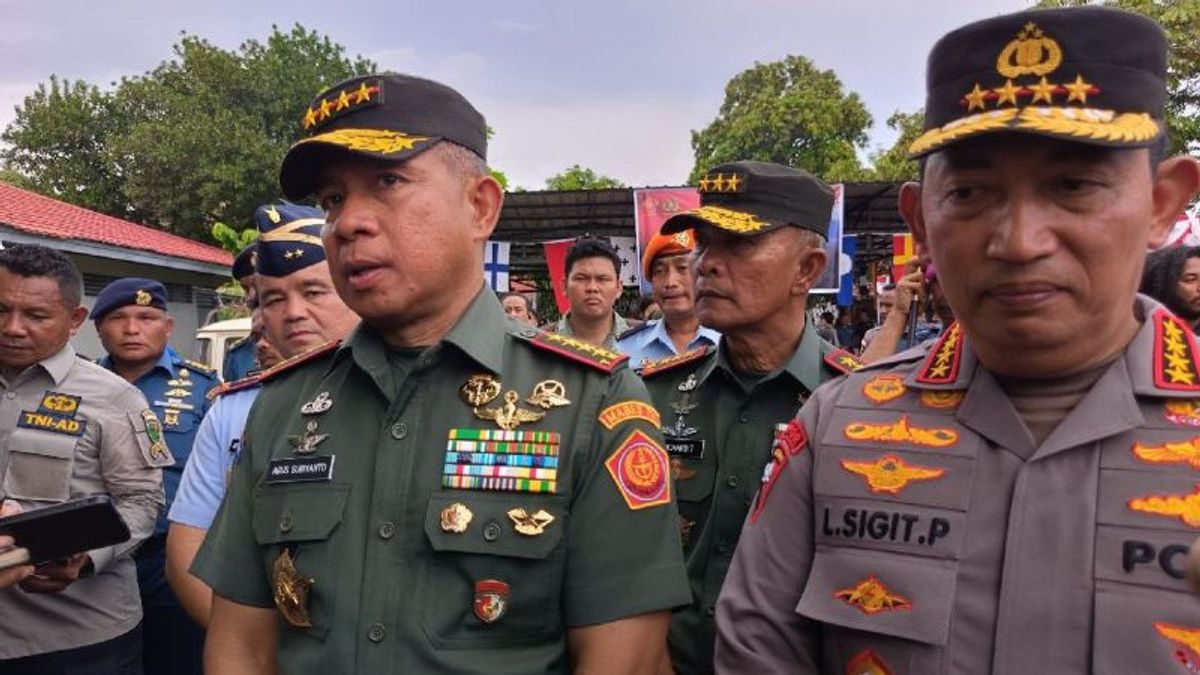 司令官:TNIは、パプアの地での選挙を確保するための物流の流通を支援する準備ができています