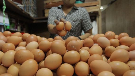 ID FOOD Dirut: La hausse des prix des œufs pourrait être surmontée par un marché bon marché