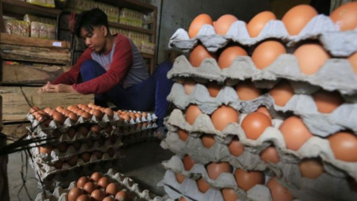 贸易部长祖拉斯要求在不到2周的时间内解决鸡蛋价格问题