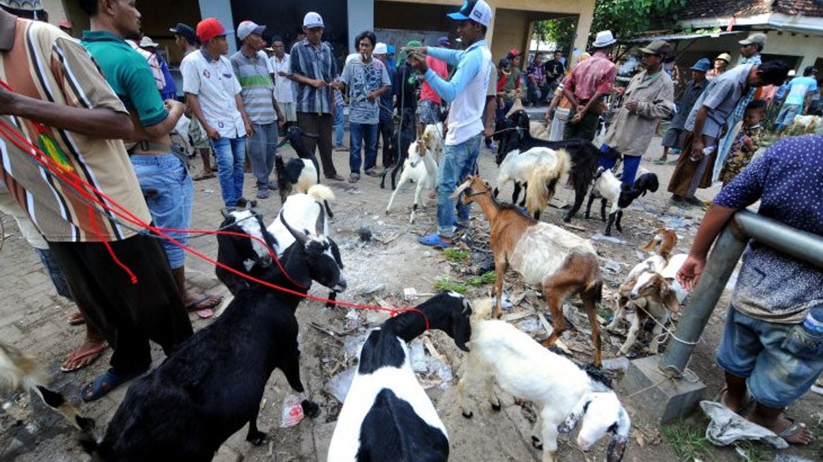 Mass Poisoning Of Goat Gulai In Gamping, Sleman Regency Government Ensures The Responsibility Of Victim Treatment Fees