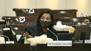 Sri Mulyani Bocorkan Pembentukan Undang-Undang Fintech