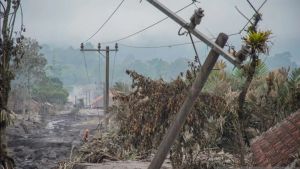 Catat 2.919 Bencana di RI Dalam 11 Bulan, BNPB: 98,97 Persen Hidrometeorologi 