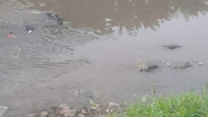 Bodies Of 7 Men Died In Bekasi River Still Dressed In Clean Clothes And Wearing Shoes