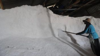 Kasus Korupsi Impor Garam, Kejagung Periksa Pejabat Kemendag