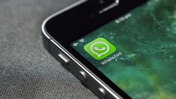 WhatsApp现在推出了最新的Beta版本,可以在iPad上下载