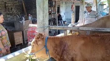 家畜FMDを特別なイベントに提案する東ジャワ商工会議所:農家は家畜の多くが死亡したことを非常に心配しています