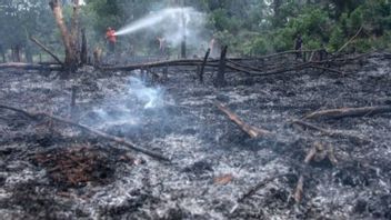 45 Titik Panas Terdeteksi di Kaltim, BMKG Ingatkan Potensi Kebakaran Hutan Terjadi Siang Hari