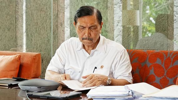 Luhut: Ganti Saja Direksi PLN dan Pertamina yang Tak Perhatikan Ketentuan TKDN